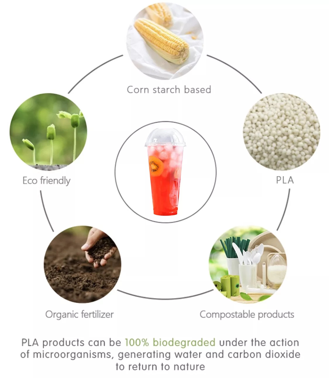 Biodegradable PLA clear coffee cup