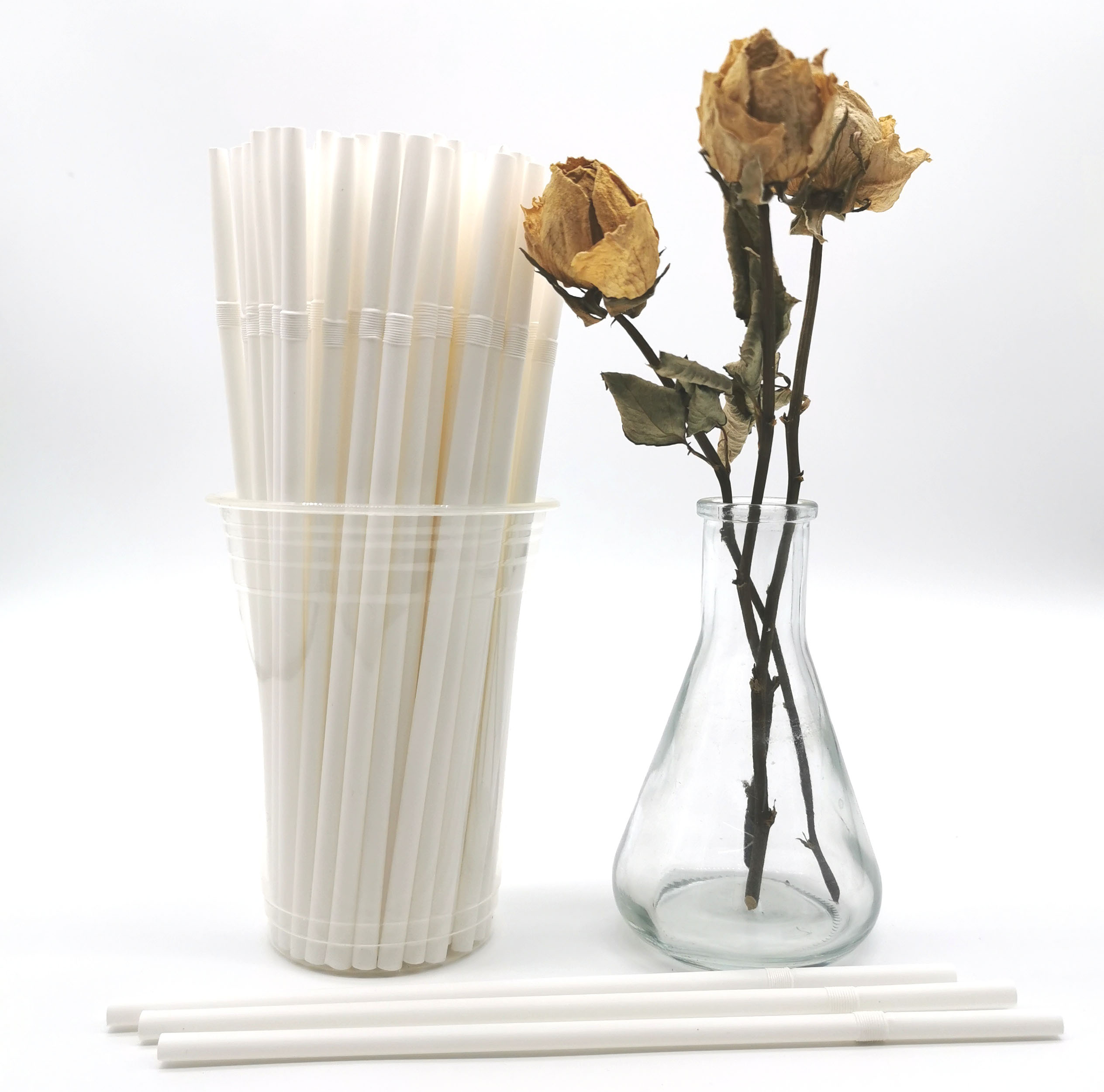 Biodegradable Drinking Straws