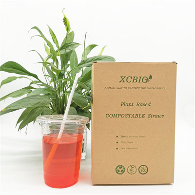 PLA Disposable compostable straws