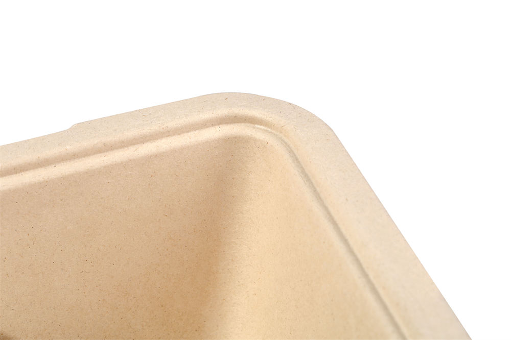 Compostable PLA Disposable Lunch Box