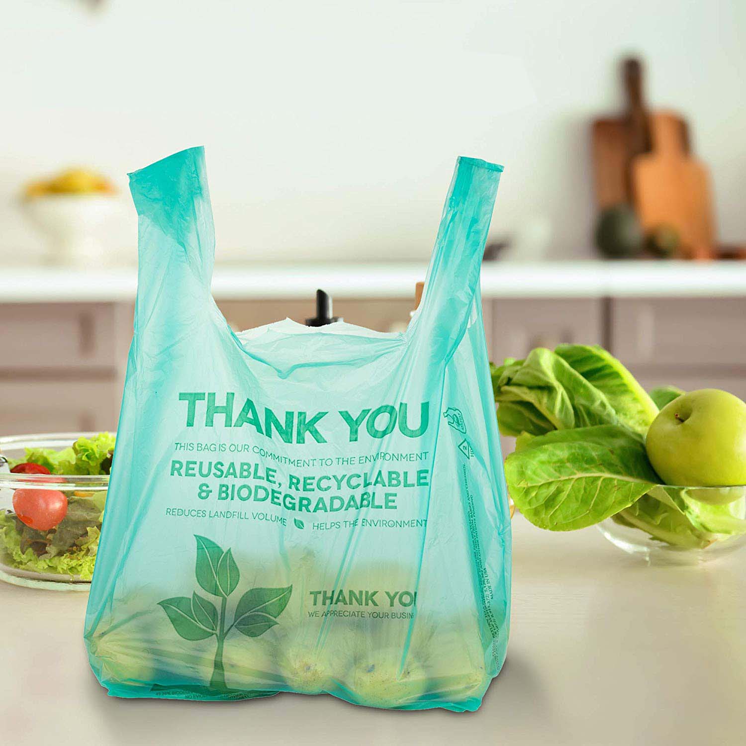 Biodegradable Plastic Thank You Shopping Bag