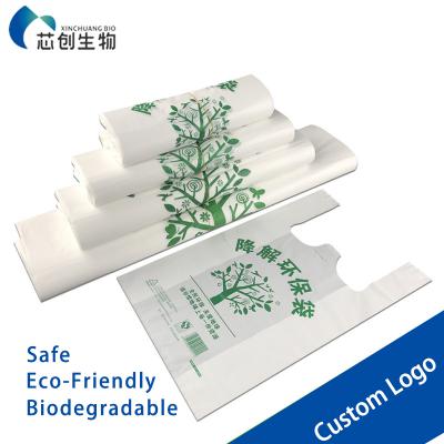 Compostable PLA Shopping Bag 1