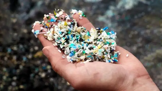 The pollution of the earth's environment by plastic waste